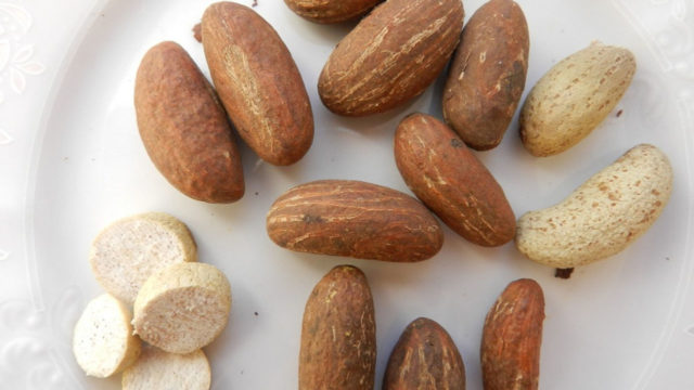 Bitter Kola