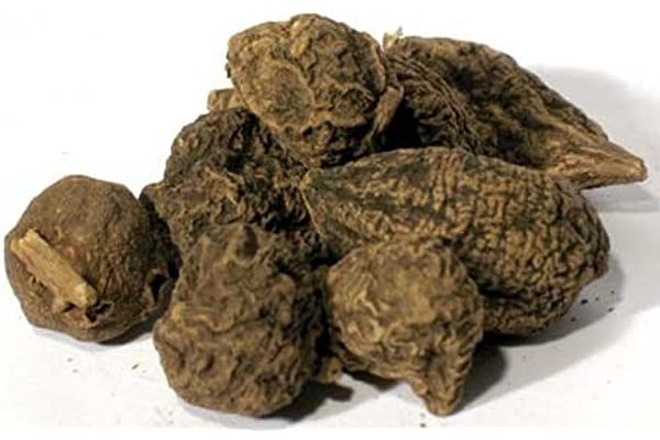 High John Conqueror Root (Spiritual Uses)