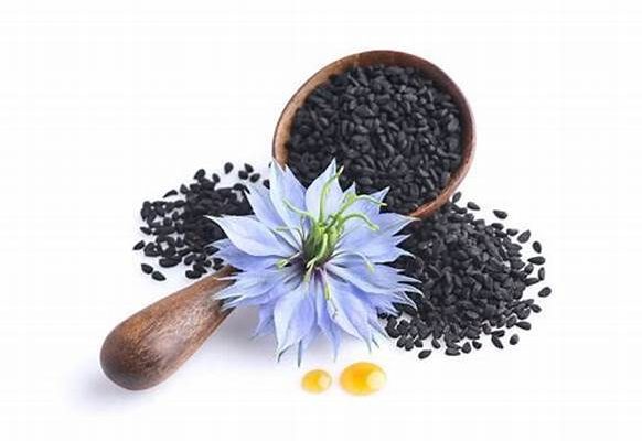 Black Seed (Nigella sativa)