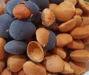 African velvet tamarind