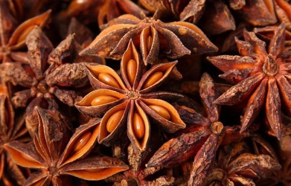 Star Anise (Illicium verum)